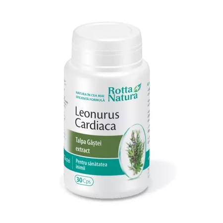 Leonurus Cardiaca Extact Talpa Gastiei, 30 capsule, Rotta Natură