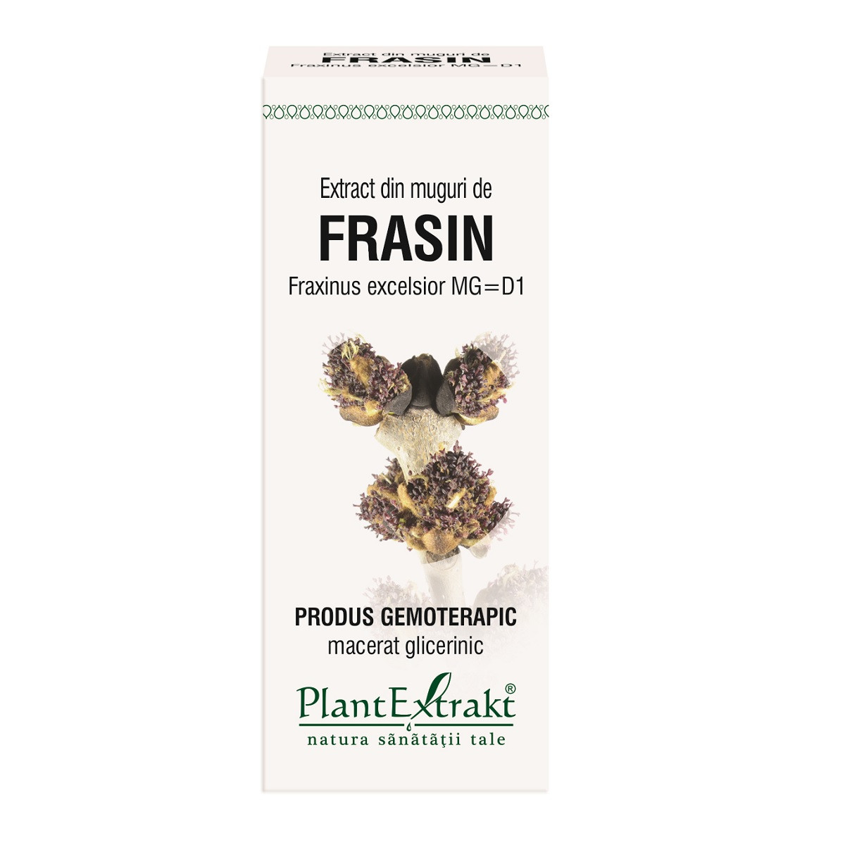 Extract muguri frasin x 50ml (plx)