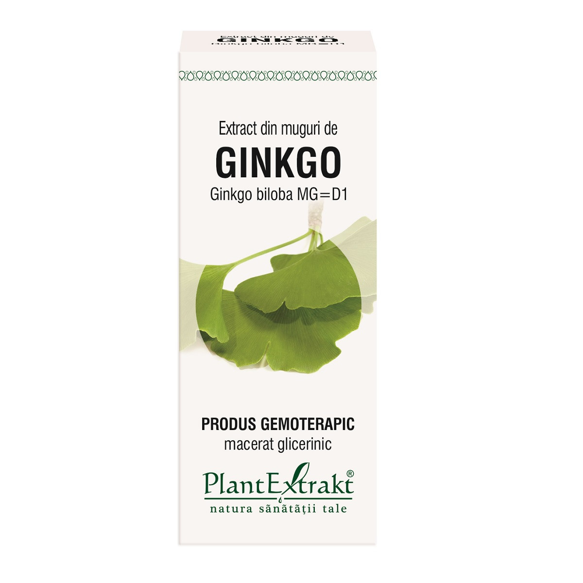 Extract muguri ginkgo x 50ml (plx)