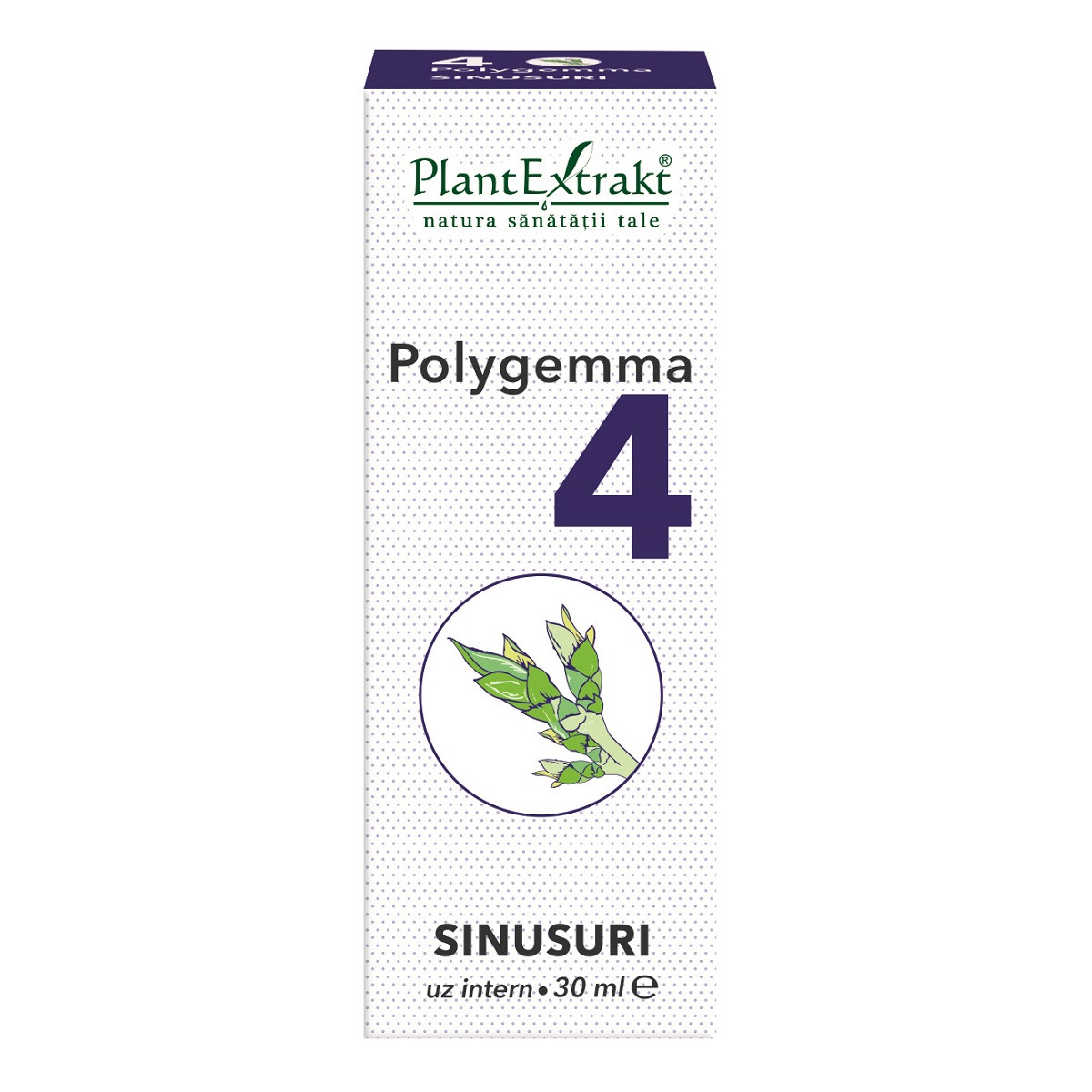 Polygemma 4, sinusuri, 30 ml, plant extrakt
