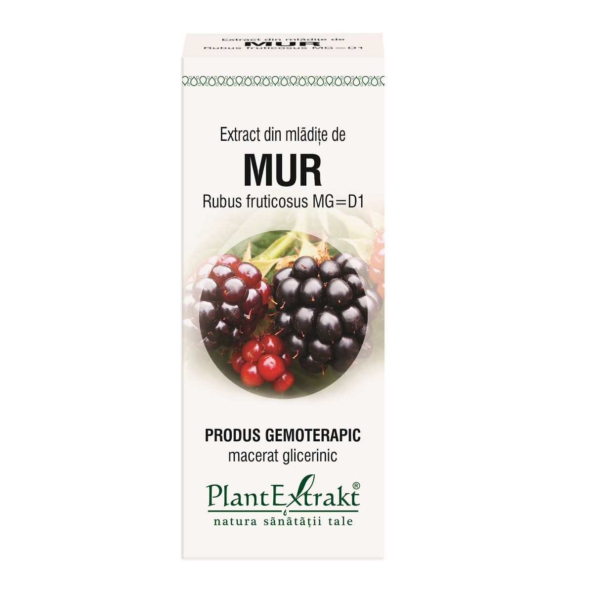 Extract mladite mur x 50ml (plx)