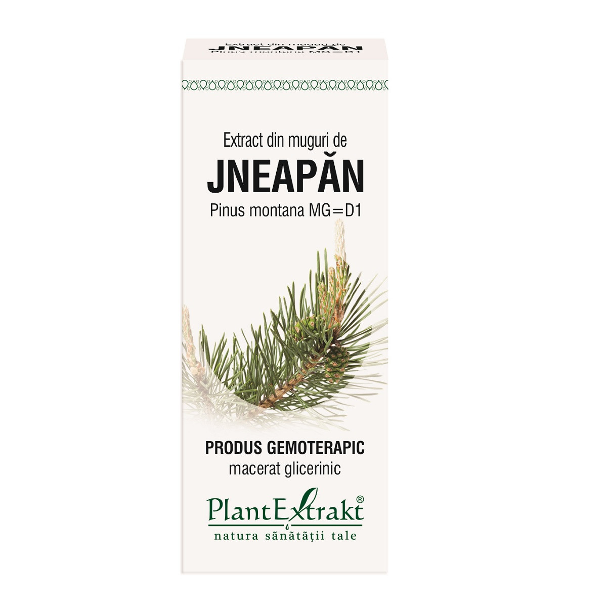 Extract muguri jneapan x 50ml (plx)