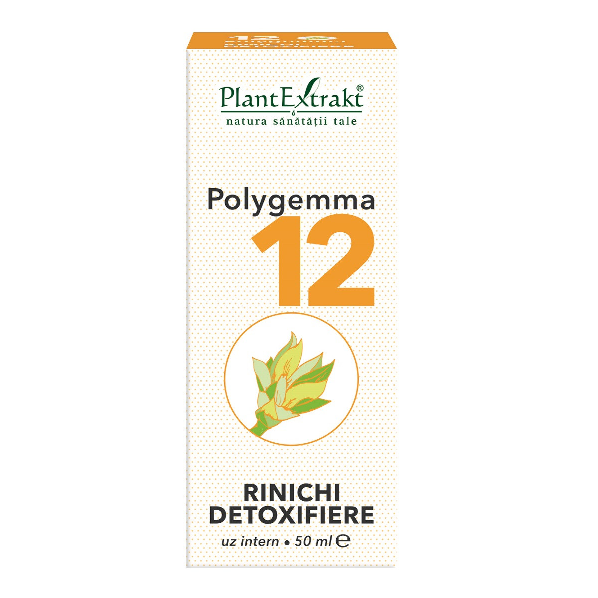 Polygemma 12, rinichi detoxifiere, 50 ml, plant extrakt