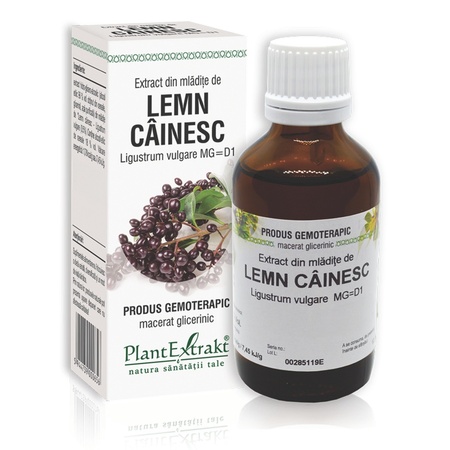 Extract din mladite de Lemn Cainesc, 50 ml, Plant Extrakt