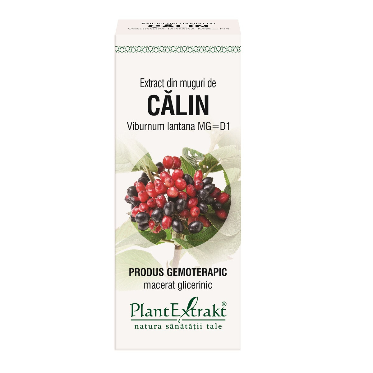 Extract muguri calin x 50ml (plx)