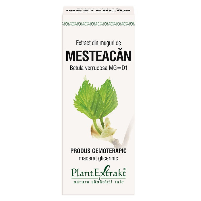 Extract muguri mesteacan pufos 50ml(plx)