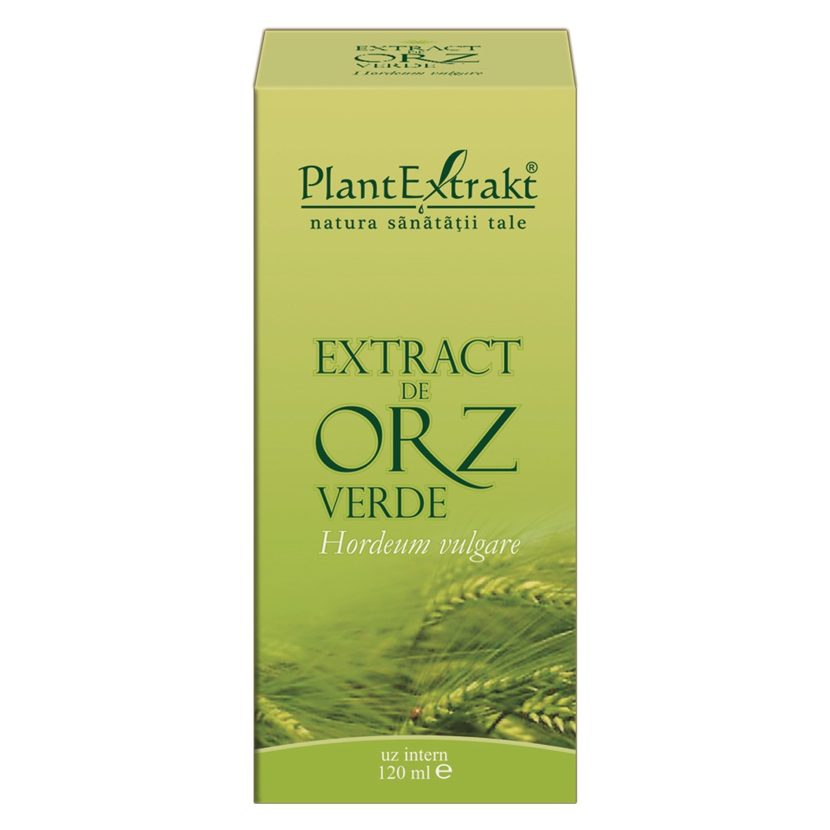 Fito extract orz verde x 120ml (plx)
