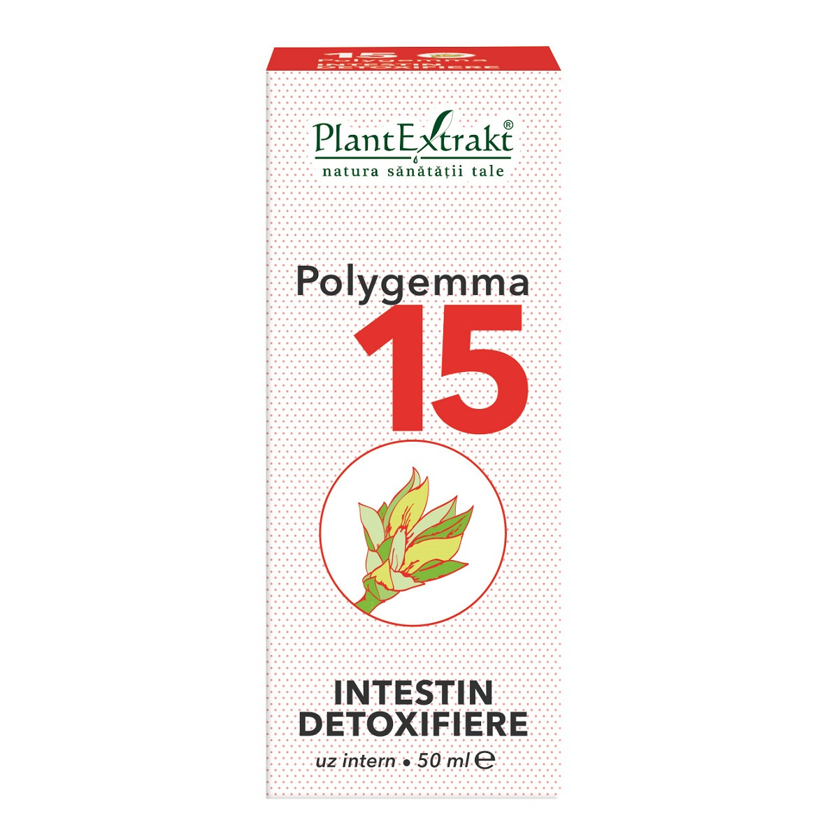 Polygemma 15, intestin detoxifiere, 50 ml, plant extrakt