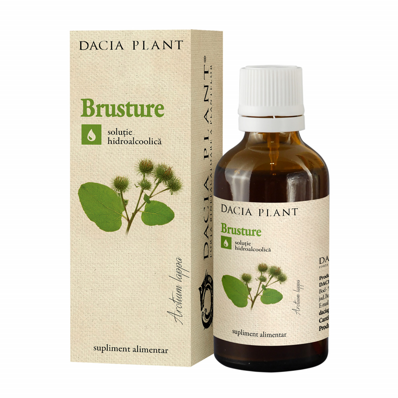 Tinctura de Brusture Dacia Plant - 50ml, Remediu Natural pentru Detoxifiere