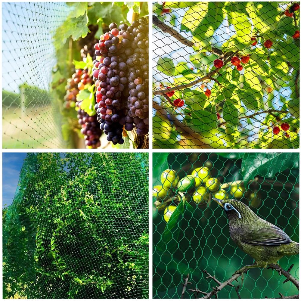 silla mast m2 Plasa anti pasari 4x5m verde 8g/m2 Breckner Germany, BRECKNER GERMANY, BK79027