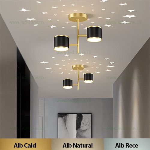 Aplica LED 14W 3 Functii LZ9105