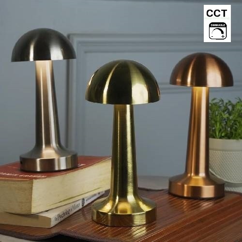 Lampa de Masa LED Dimabila 2W CCT TOUCH AVIVA