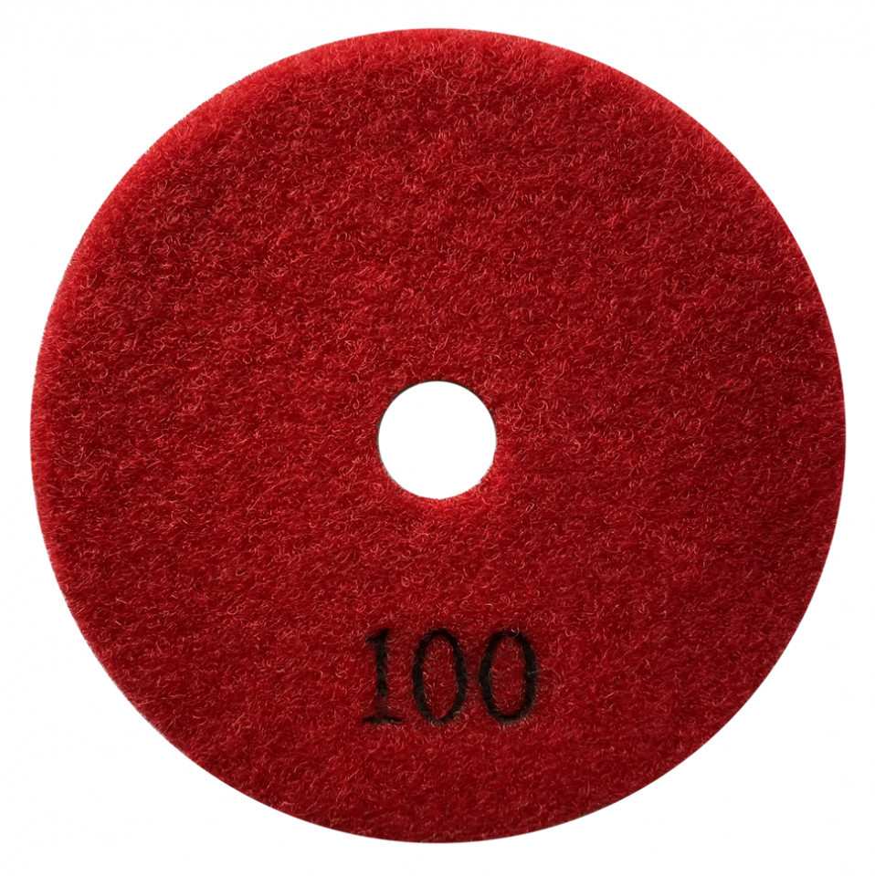 Paduri / dischete diamantate pt. slefuire uscata #100 Ø100mm – DXDY.DRYPAD.100.0100 albertool imagine noua