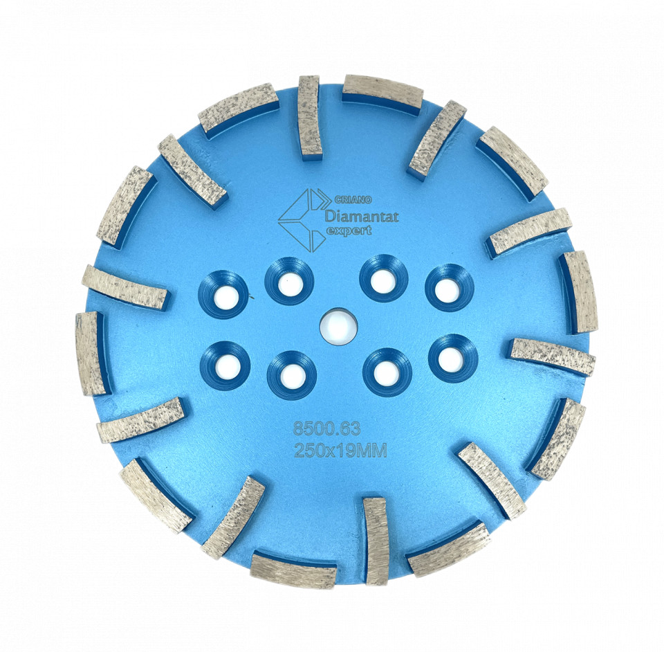 Disc cu segmenti diamantati pt. slefuire pardoseli – segment fin – Albastru – 250 mm – prindere 19mm – DXDY.8500.250.63 19mm imagine noua