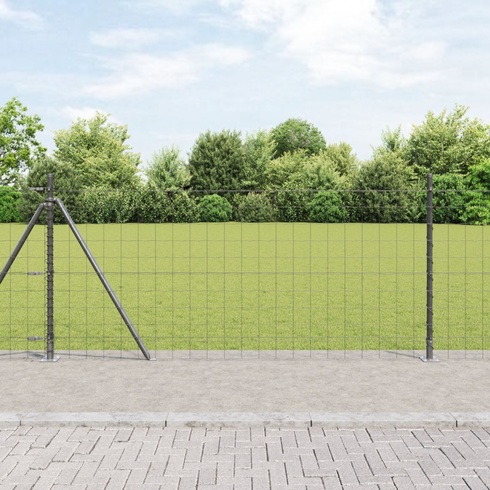 Euro Fence Set de 2 Gri Metal 10 m lungime Durabil Euro Fence