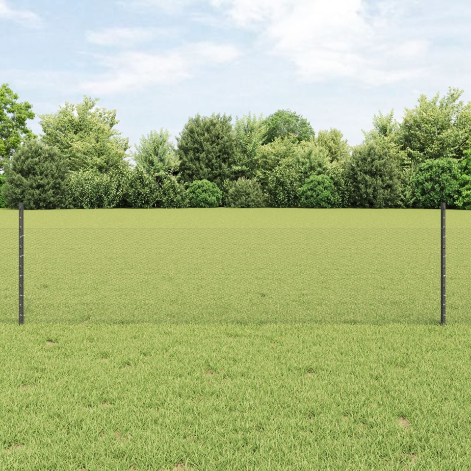 Set de Gard Set de 2 Gri Plasă de oțel Gard 25 x 0.5 m Portabil