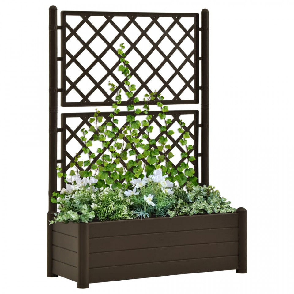 Jardinieră de grădină cu spalier, cafeniu, 100 x 43 x 142 cm PP 100
