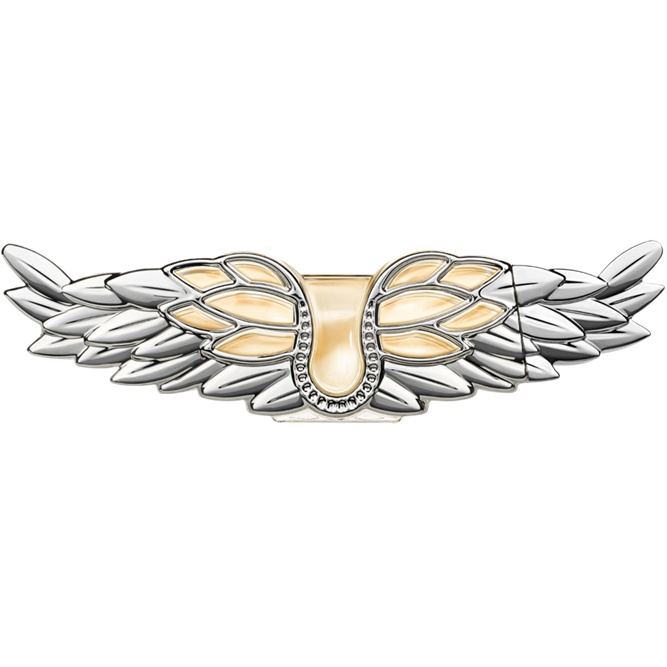 Aceasta este imaginea corespunzatoare acestui obiect