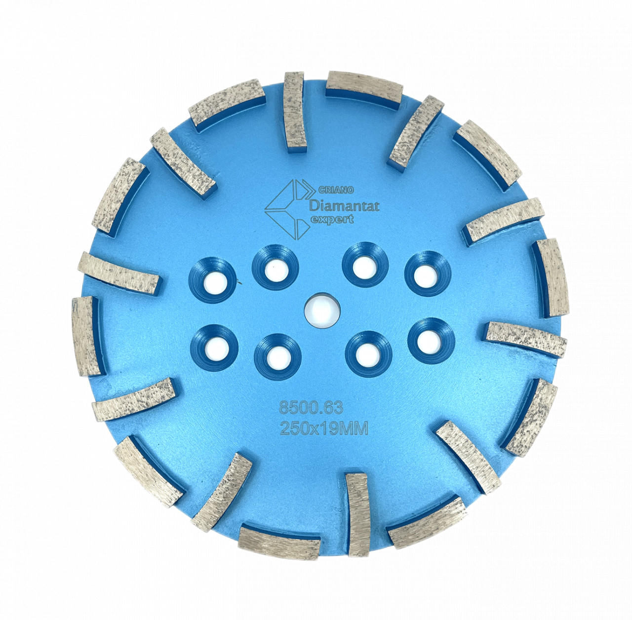 Disc cu segmenti diamantati pt. slefuire pardoseli – segment fin – Albastru – 250 mm – prindere 19mm – DXDY.8500.250.63 19mm imagine noua