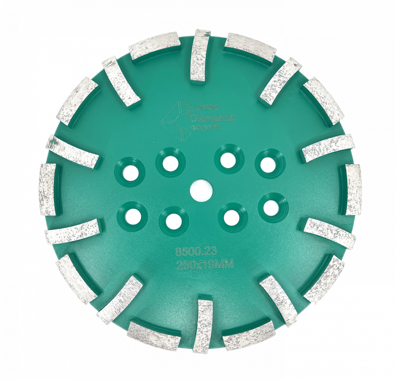 Disc cu segmenti diamantati pt. slefuire pardoseli – segment dur – Verde – 250 mm – prindere 19mm – DXDY.8500.250.23 19mm