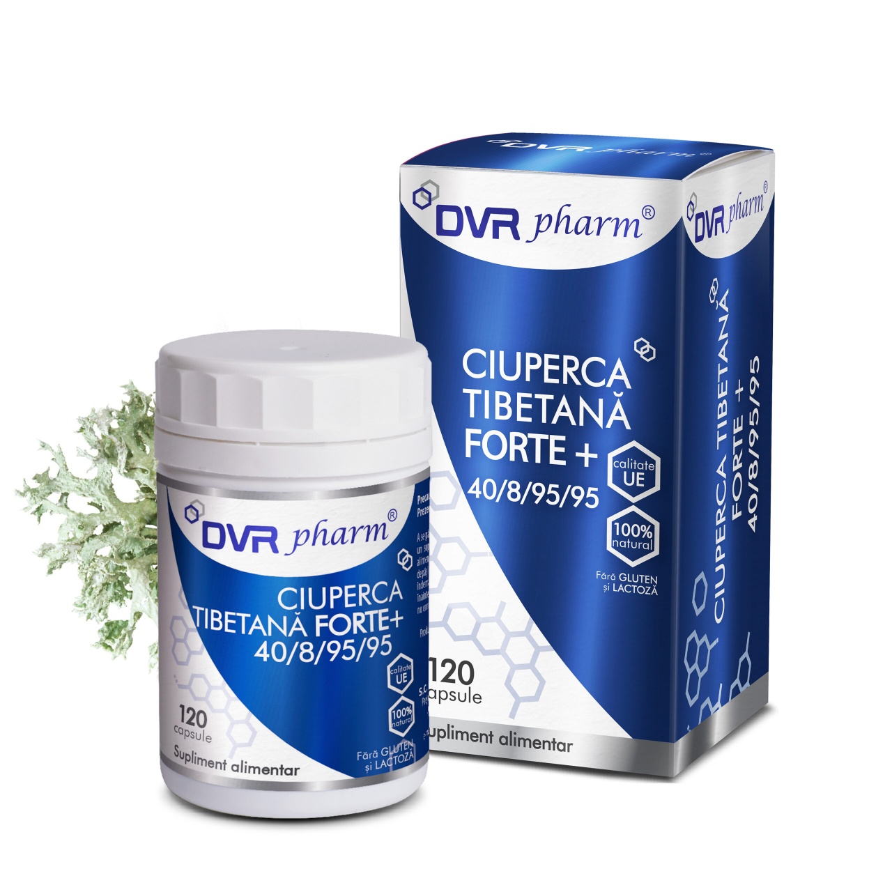 Ciuperca tibetana forte, 120 capsule, Dvr Pharm