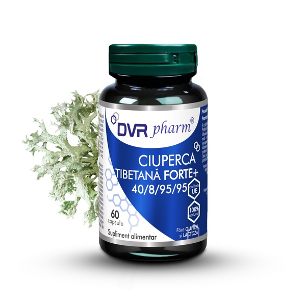 Ciuperca tibetana forte, 60 capsule, Dvr Pharm