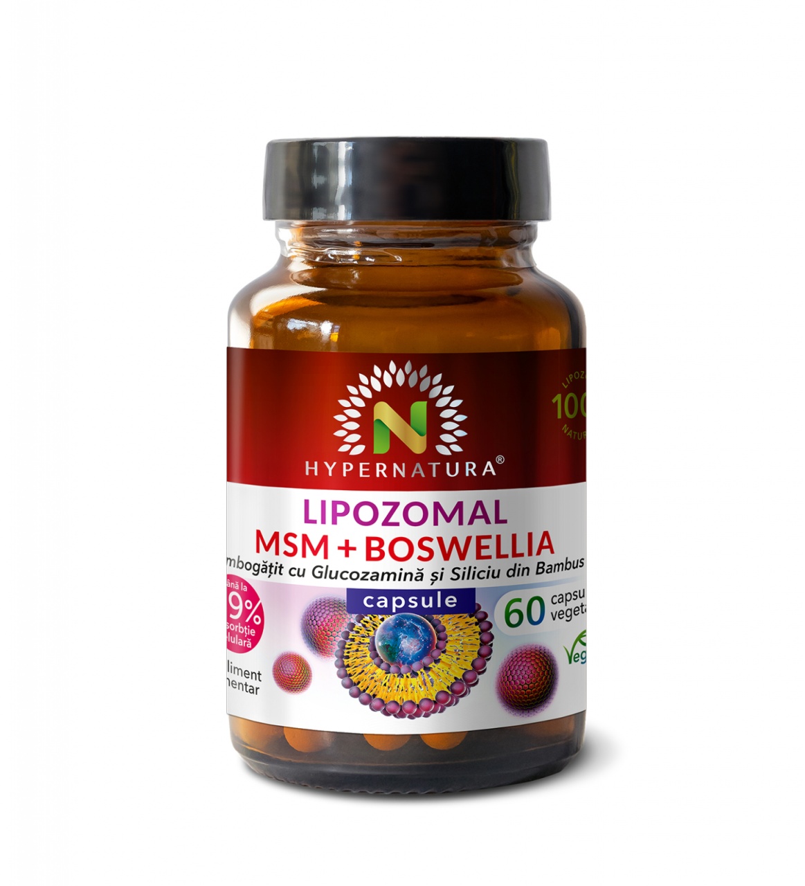 Lipozomal MSM + Boswellia, 60 capsule vegetale, Hypernatura