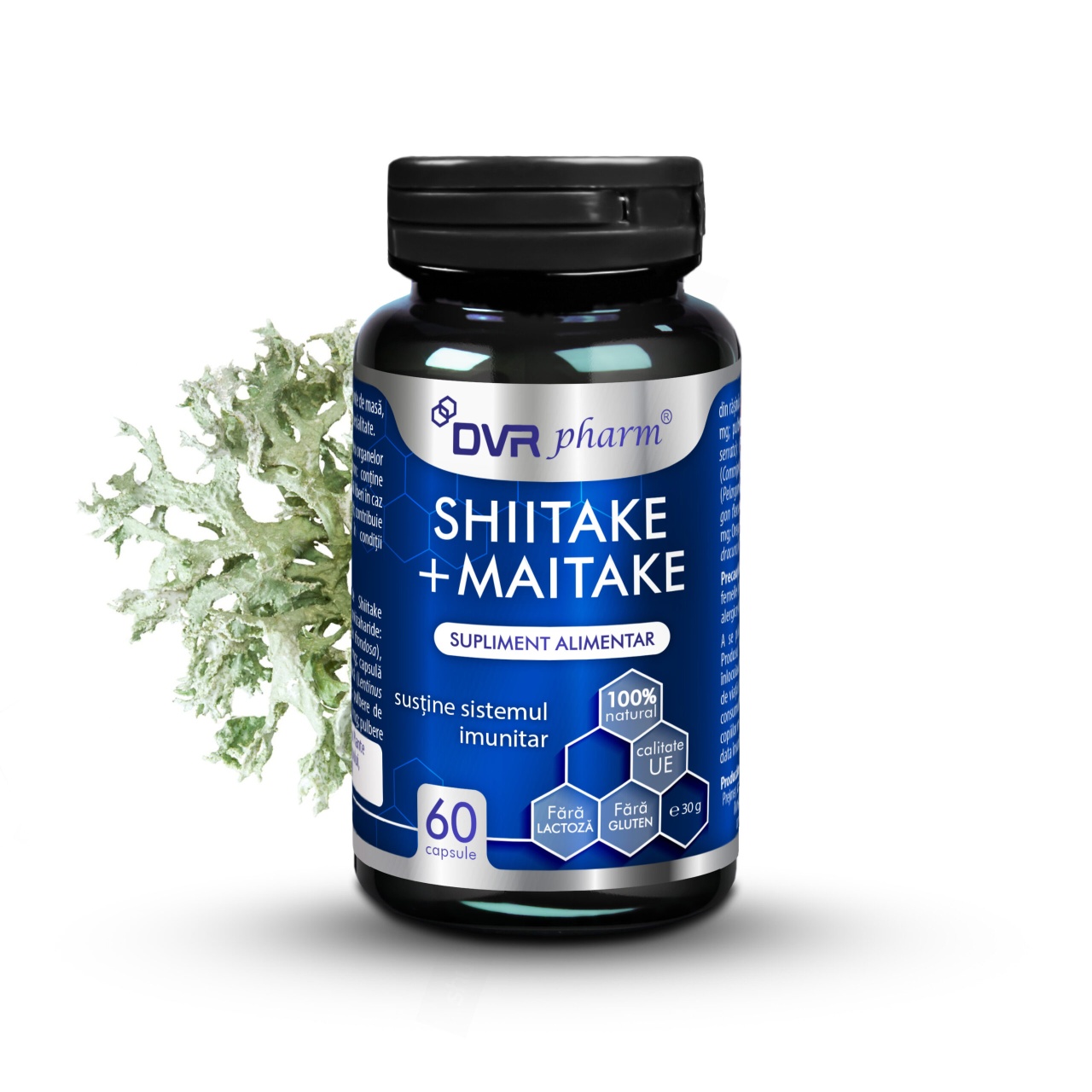 Shiitake + Maitake, 60 capsule, Dvr Pharm