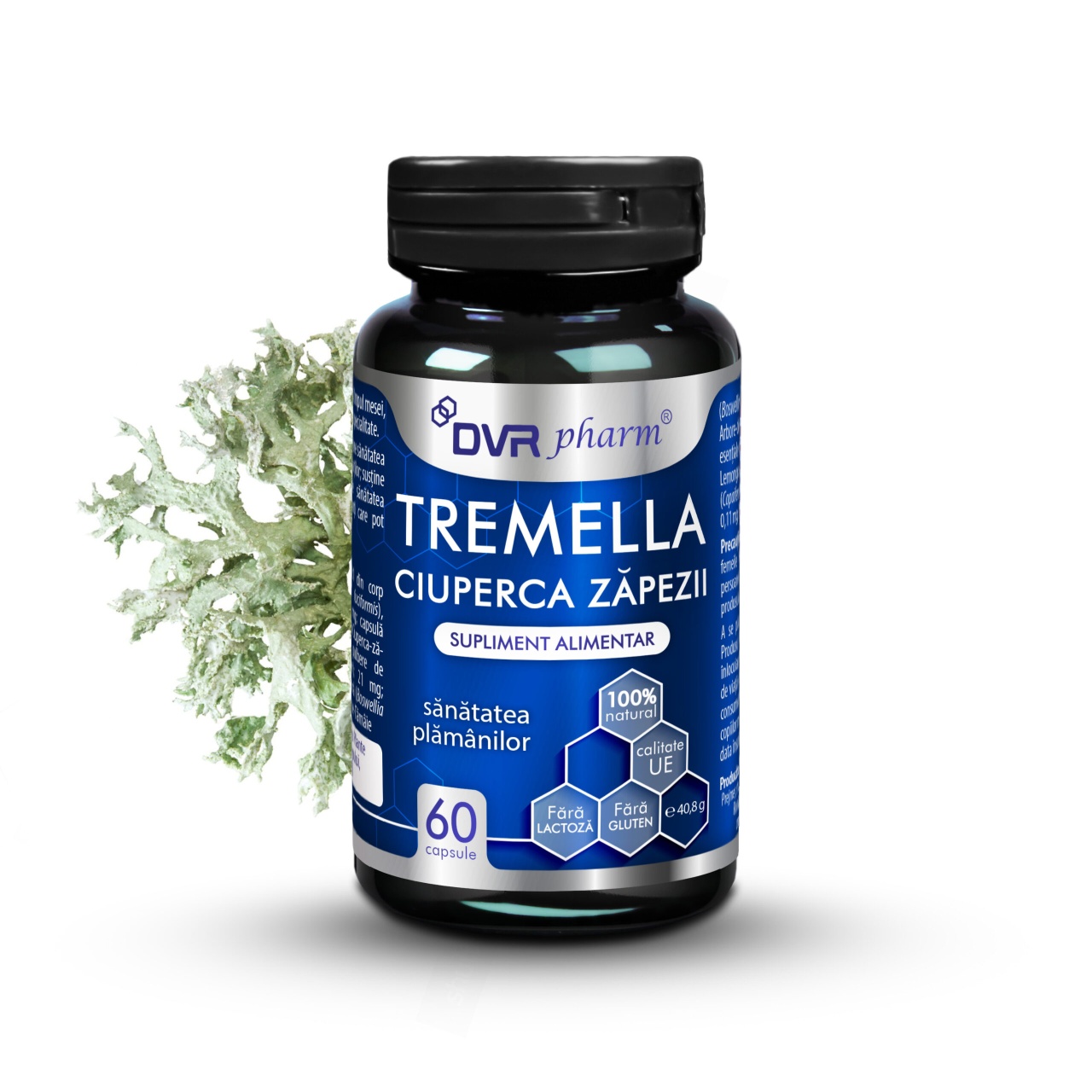 Tremella Ciuperca Zăpezii, 60 capsule, Dvr Pharm