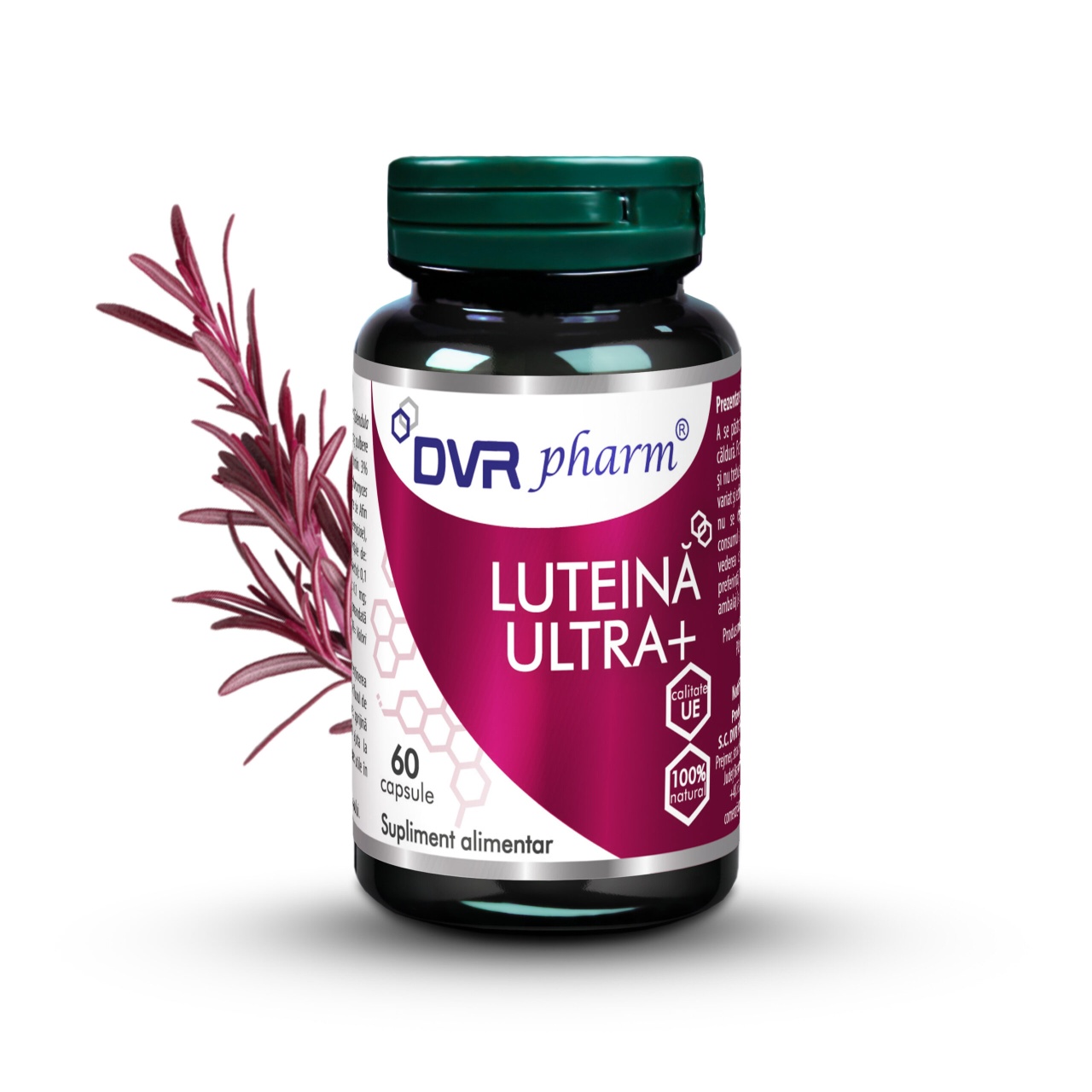 Luteina Ultra, 60 capsule, Dvr Pharm