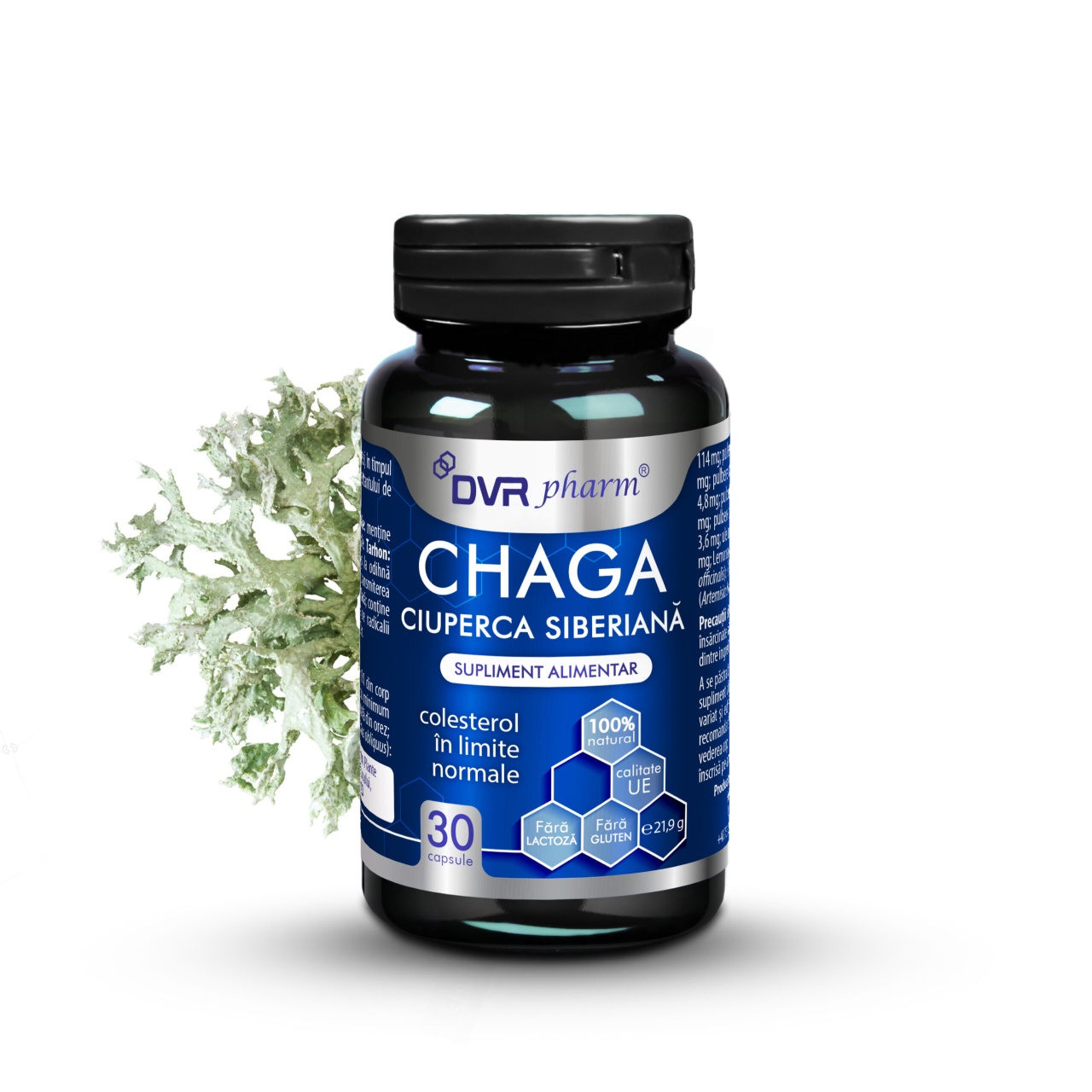Chaga Ciuperca Siberiană, 30 Capsule, DVR Pharm