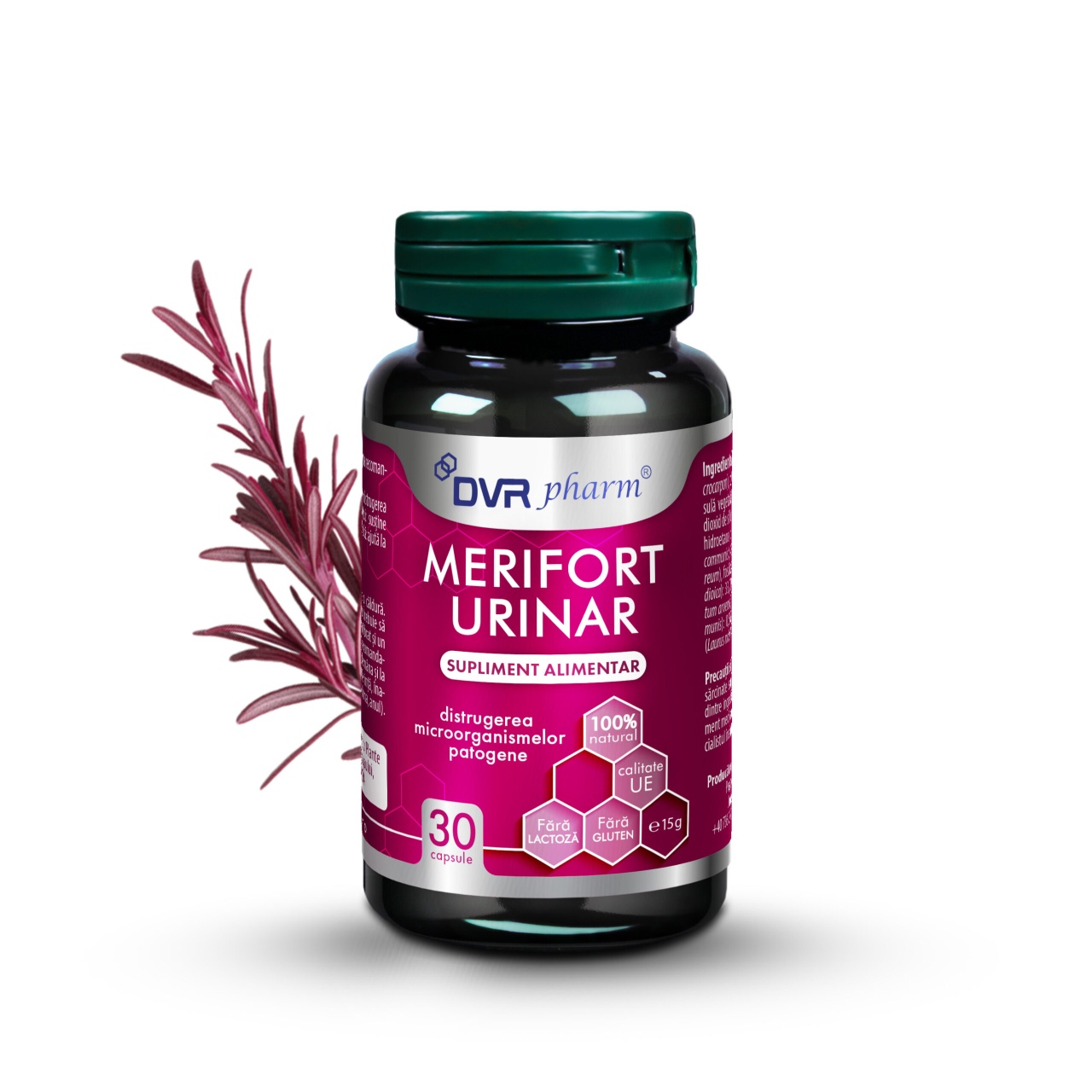 Merifort Urinar, 30 Capsule, DVR Pharm