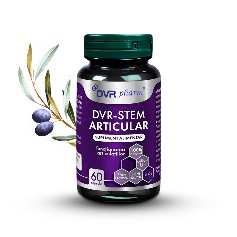 DVR-Stem Articular, 60 capsule, Dvr Pharm