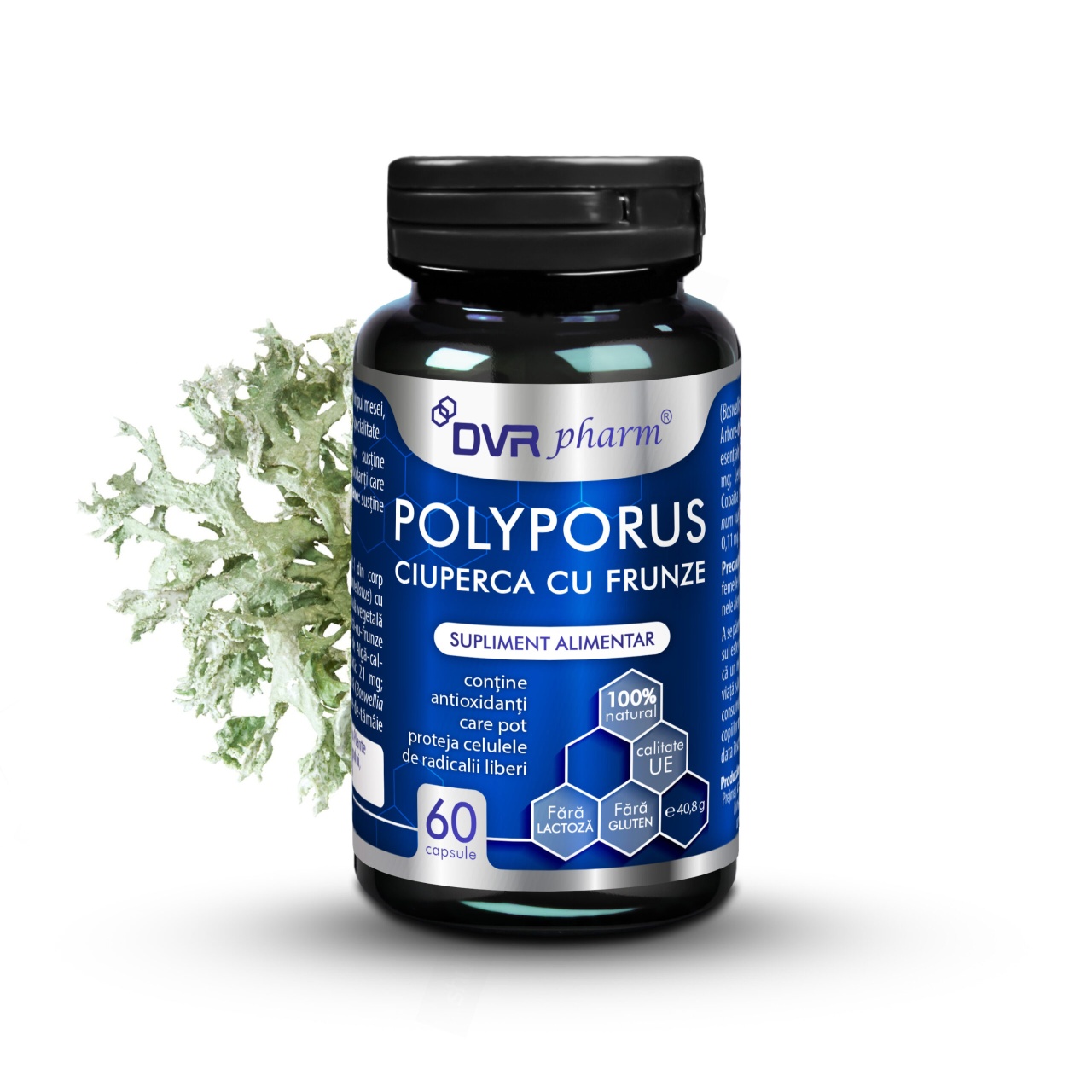 Polyporus Ciuperca cu Frunze, 60 capsule, Dvr Pharm