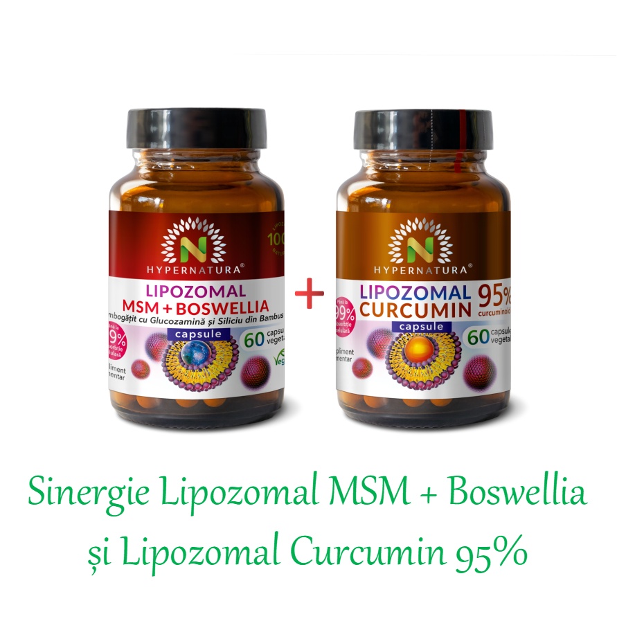 Sinergie Lipozomal MSM + Boswellia și Curcumin 95% (pachet economic pentru dureri și inflamații articulare), Hypernatura