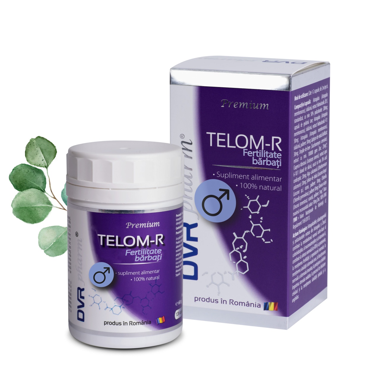 Telom-R Fertilitate Barbati, 120 cspsule, DVR Pharm