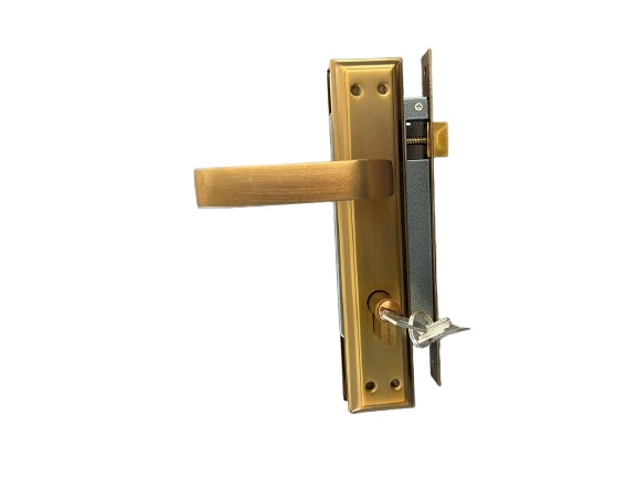 Broasca yala BERVAS B6053, model 85514 MCF, mare, metal auriu, inchidere cu cheie, cu manere, butuc si accesorii pentru montaj pe usa compatibila