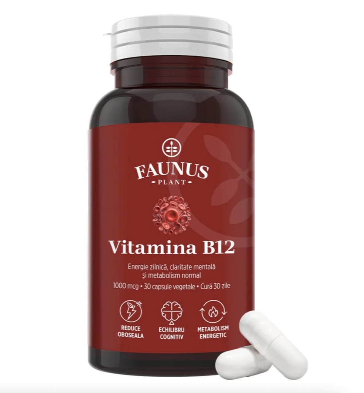 Vitamina B12 1000 mcg, 30 Capsule Vegetale, Faunus Plant