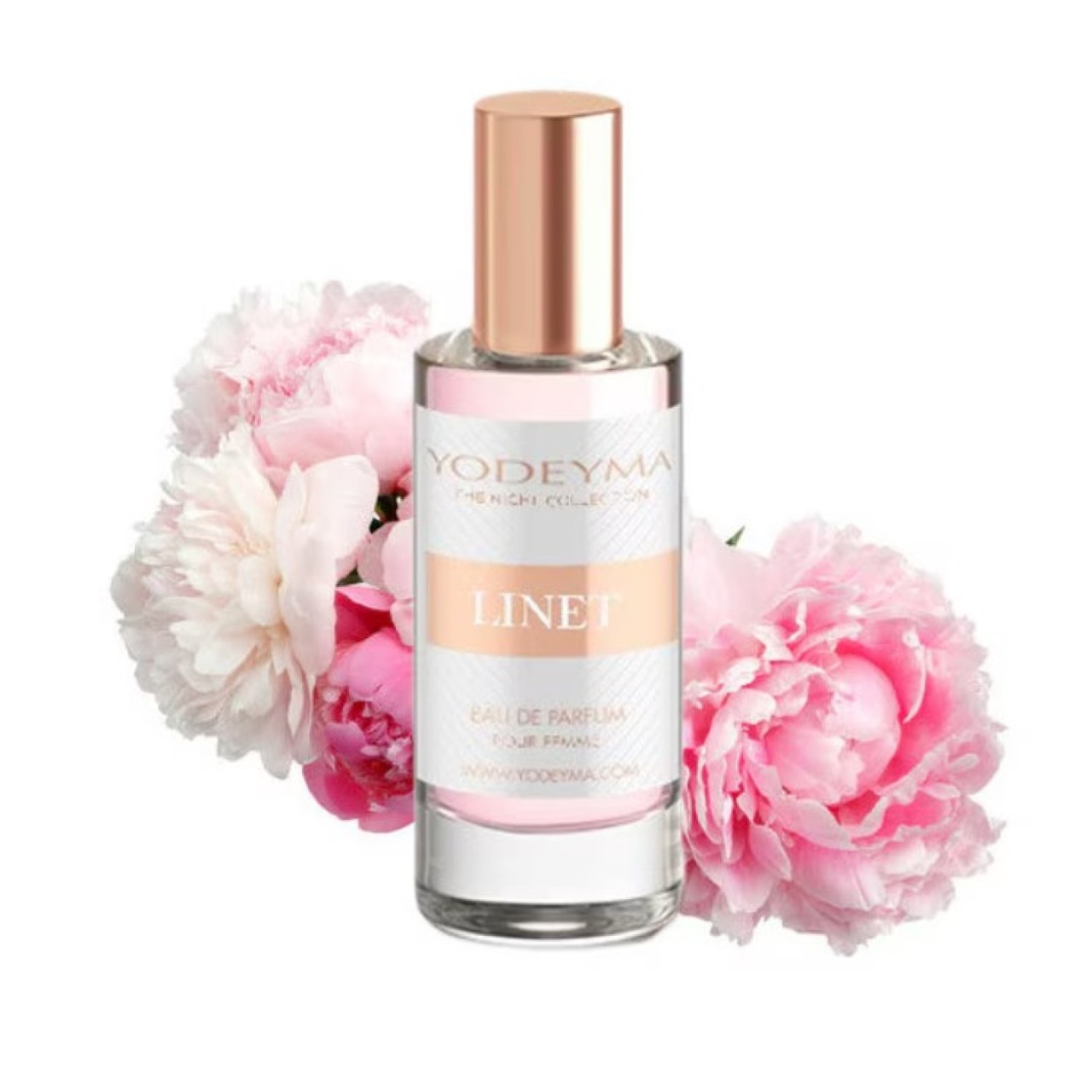 Aceasta este imaginea corespunzatoare acestui obiect