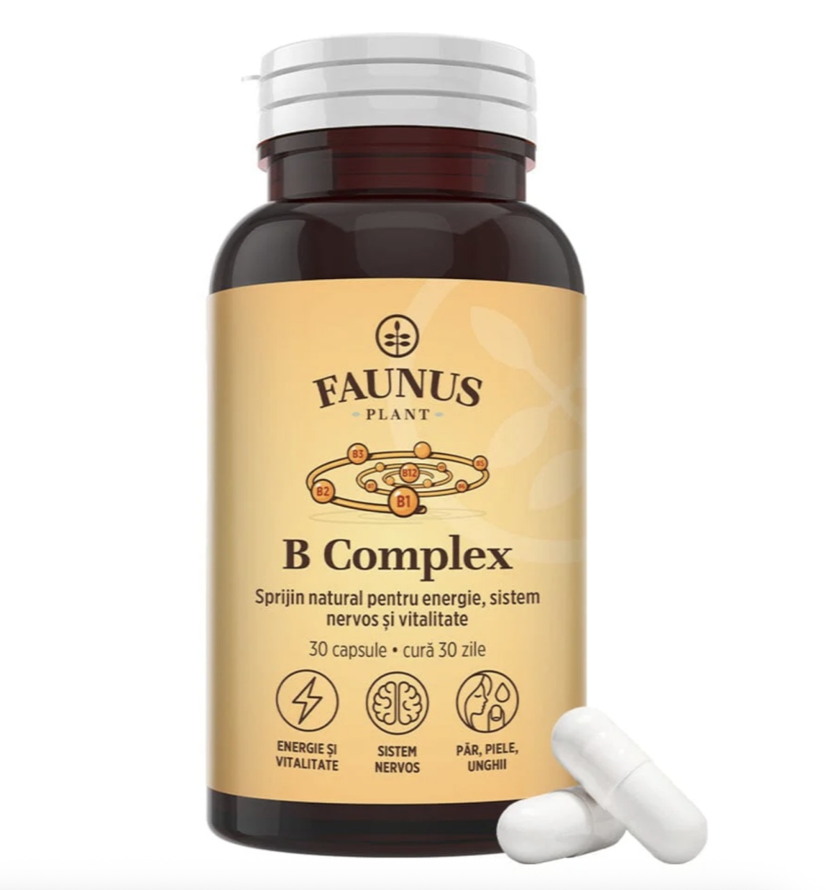 B Complex, 30 Capsule, Faunus Plant