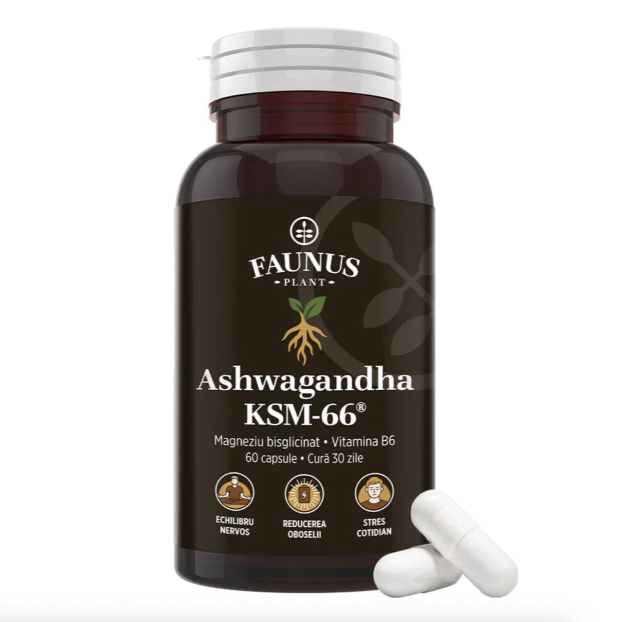 Ashwagandha KSM-66® + Magneziu Bisglicinat + Vitamina B6, 60 Capsule, Faunus Plant