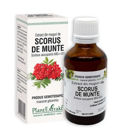 Extract din muguri de scorus de munte, 50ml, PlantExtrakt