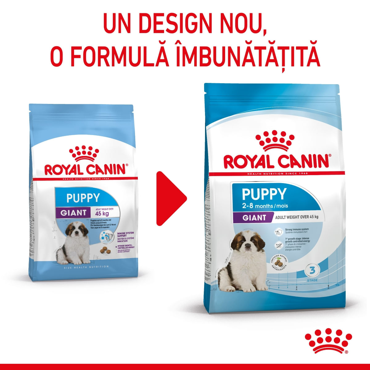 Royal Canin Giant Puppy hrană uscată câine junior etapa 1 de creștere, 3.5kg