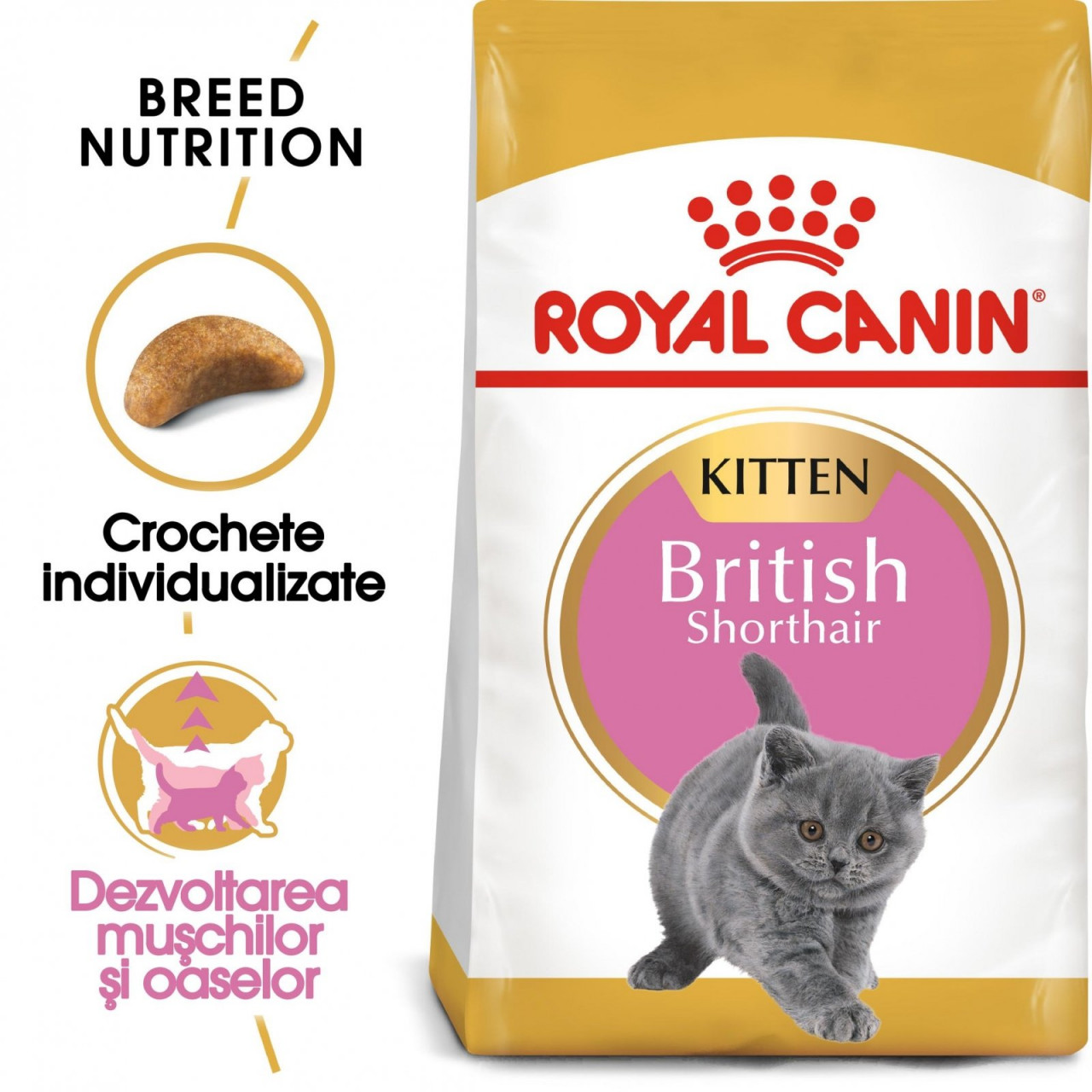 Royal Canin British Shorthair Kitten Hrană Uscată Pisică Junior, 2kg