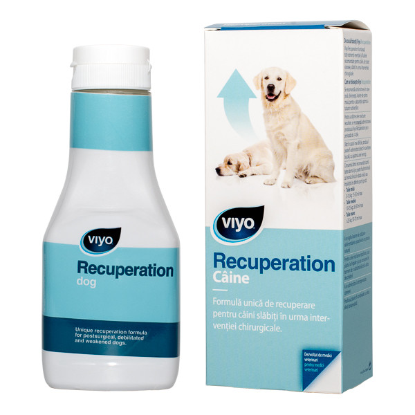Viyo Recuperation Dog x 1 fl