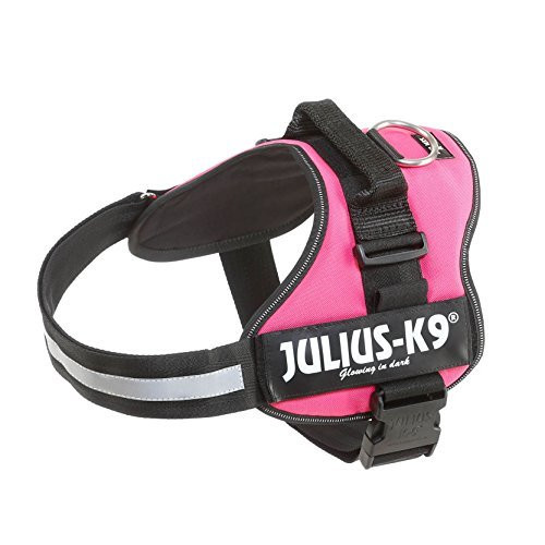 Ham Julius-K9 1 L 66-85 cm/50 mm Fuchsia 15048