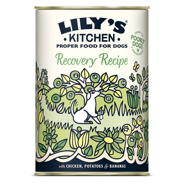 Lily\'s Kitchen for Dogs Recovery Recipe with Chicken, Potatoes and Bananas, 400g