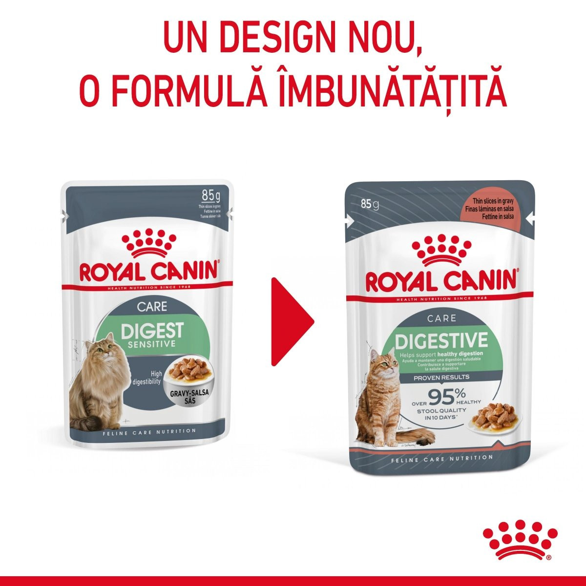 Royal Canin Digest Sensitive Care Adult hrană umedă pisică, confort digestiv (în sos), 12 x 85g